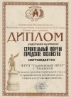 Диплом за обустройство земли Российской в номинации «Компания года -2009»