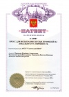 Пресс для испытания гнутых профилей на локальную устойчивость